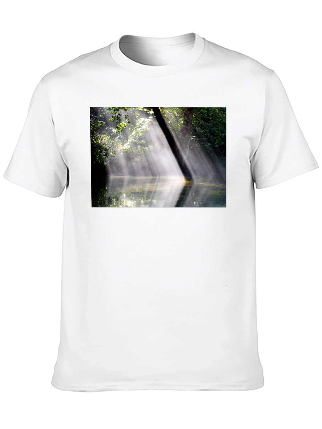 Natures Embrace Tee - Sunlit Forest Design