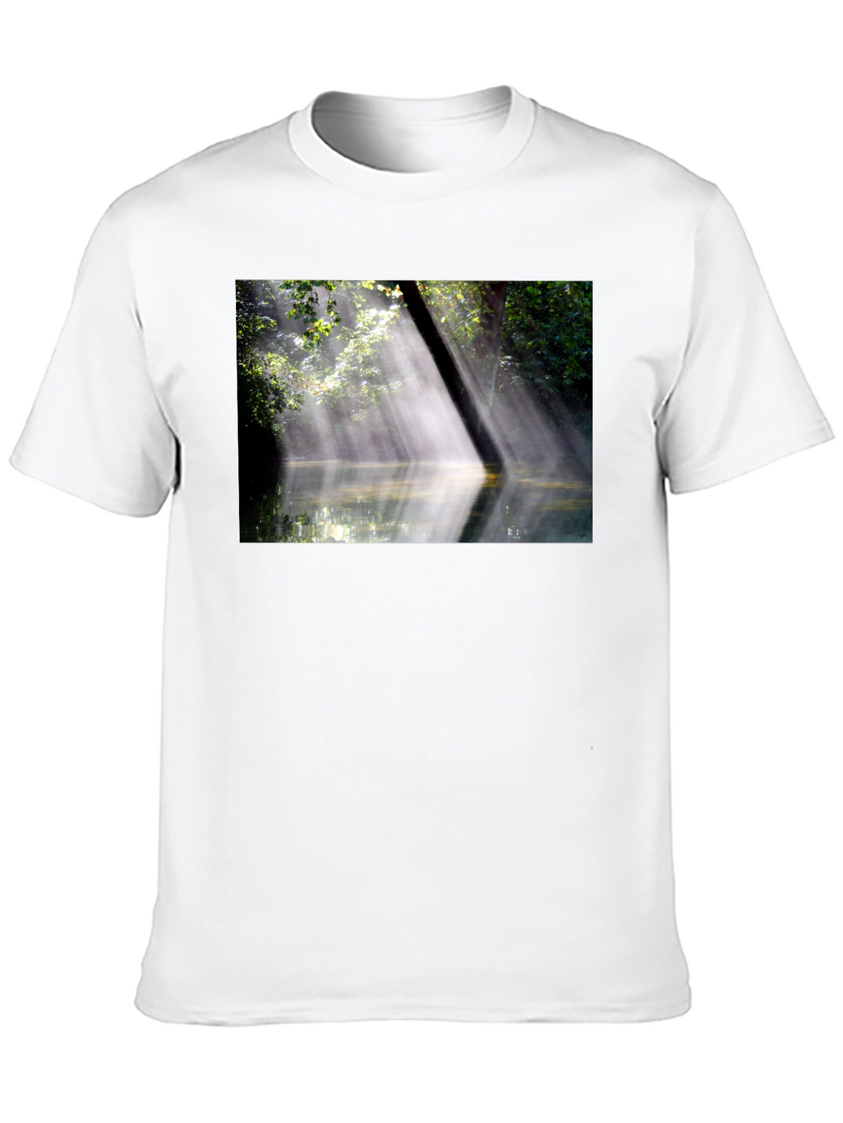 Natures Embrace Tee - Sunlit Forest Design