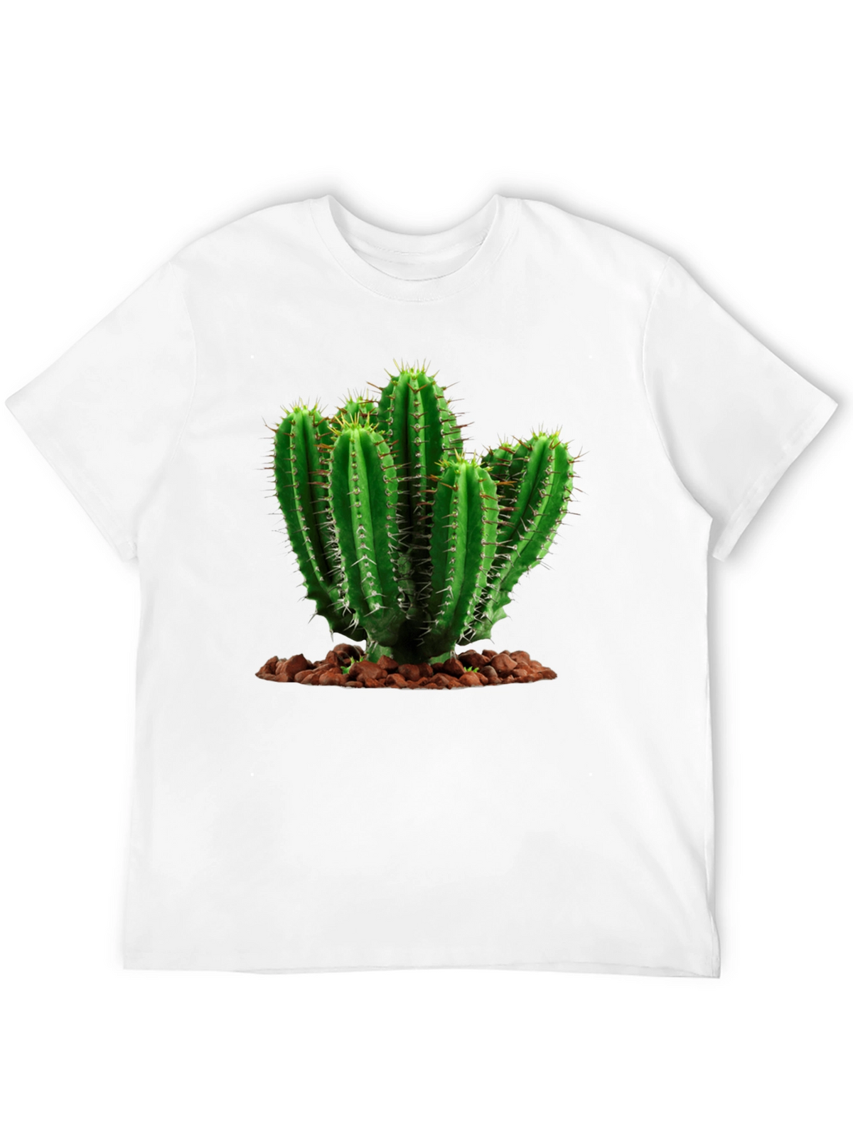 Cactus Graphic Tee - Desert Humor