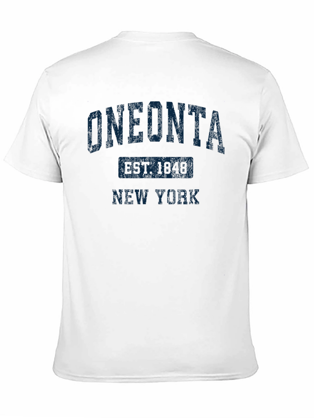 Oneonta New York Est 1848 Graphic T-Shirt