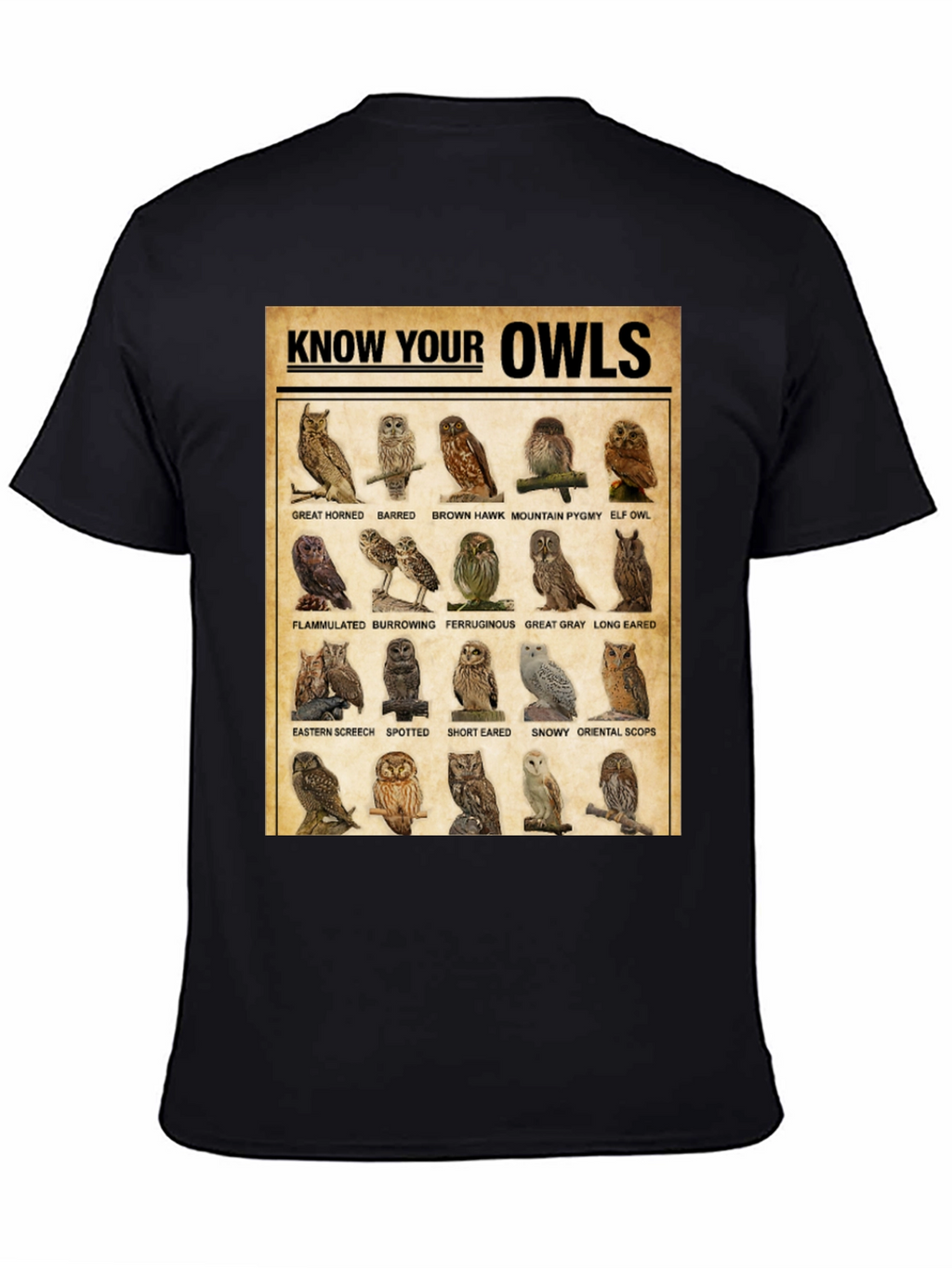 Know Your Owls T-Shirt: Bird Lovers Edition