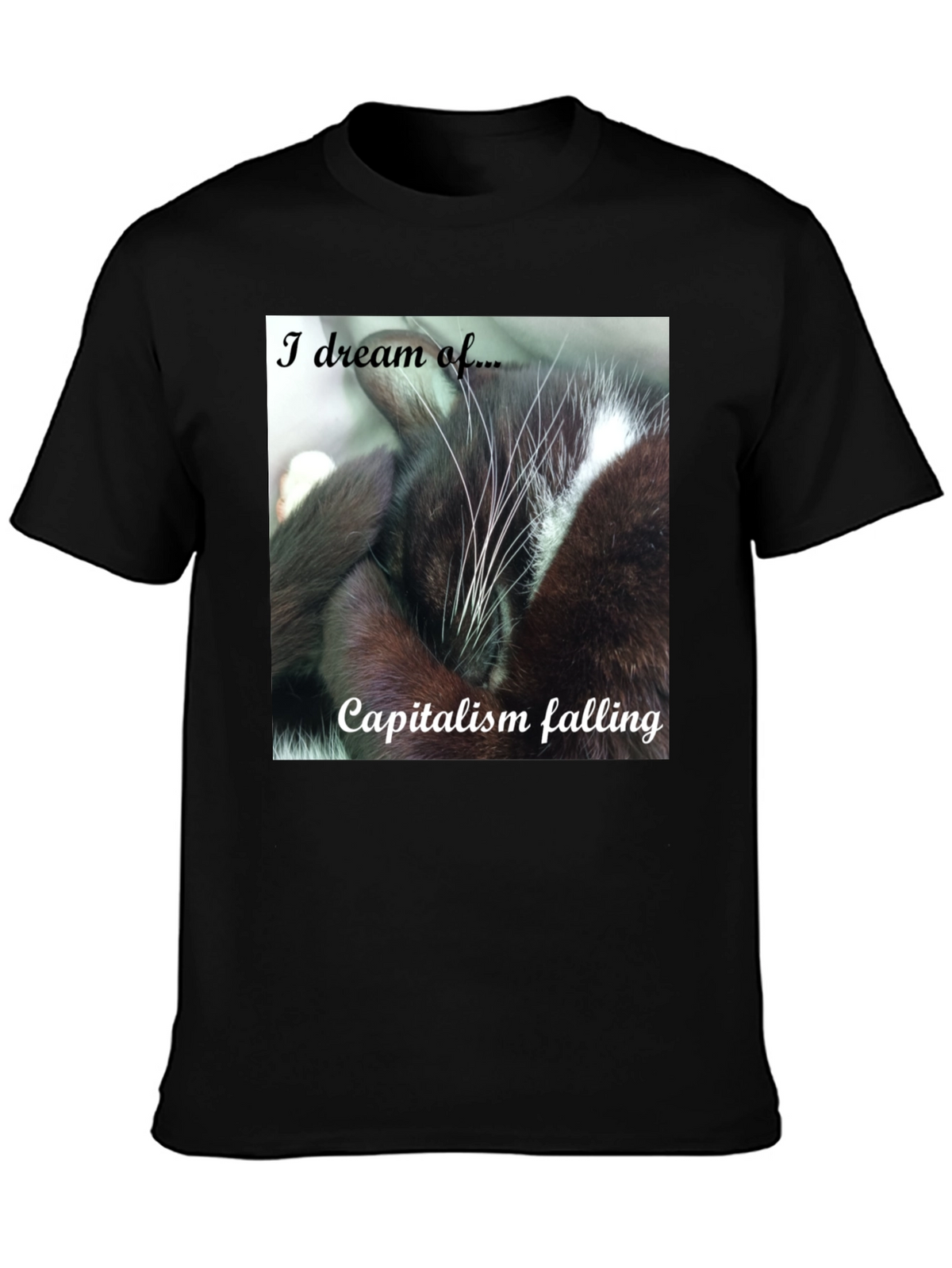 Cat Dreams of Capitalism Falling T-Shirt
