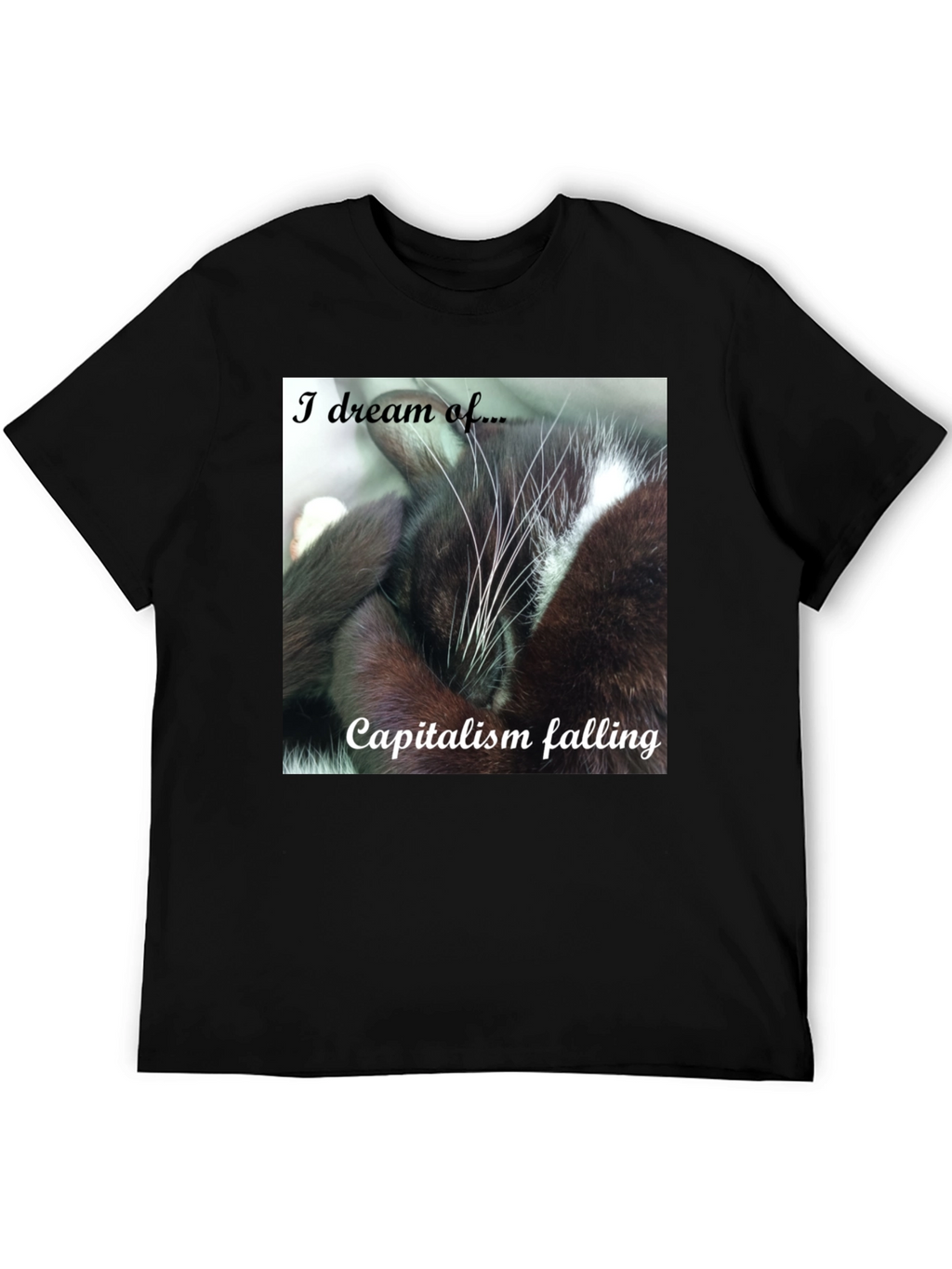 Cat Dreams of Capitalism Falling T-Shirt