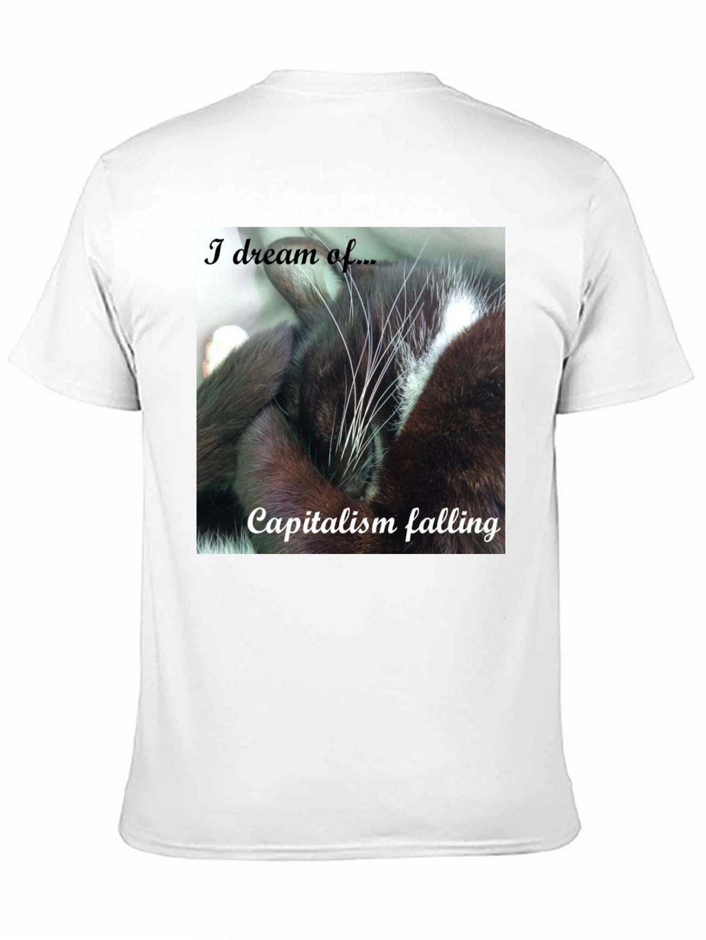 Cat Dreams of Capitalism Falling T-Shirt