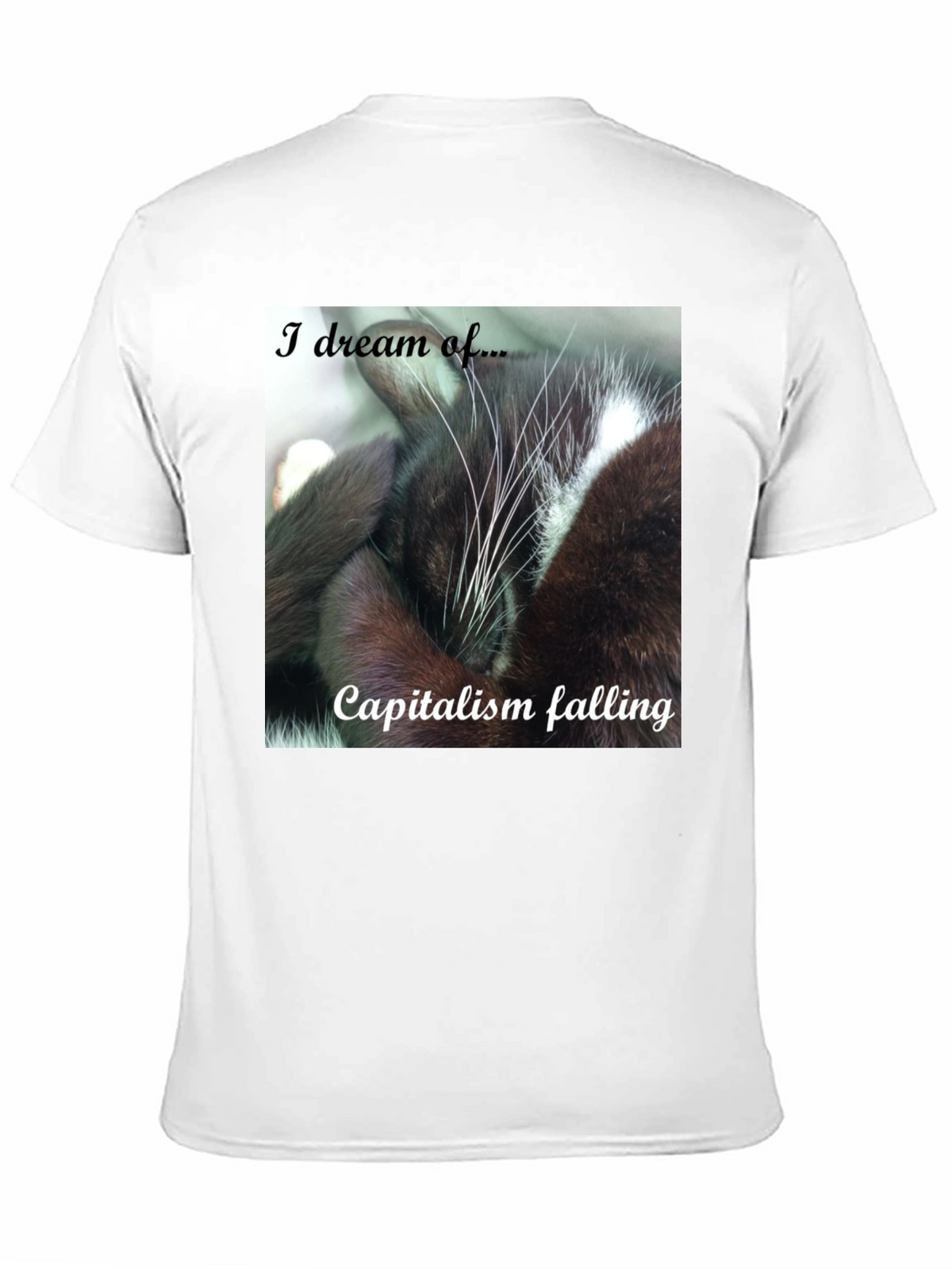 Cat Dreams of Capitalism Falling T-Shirt