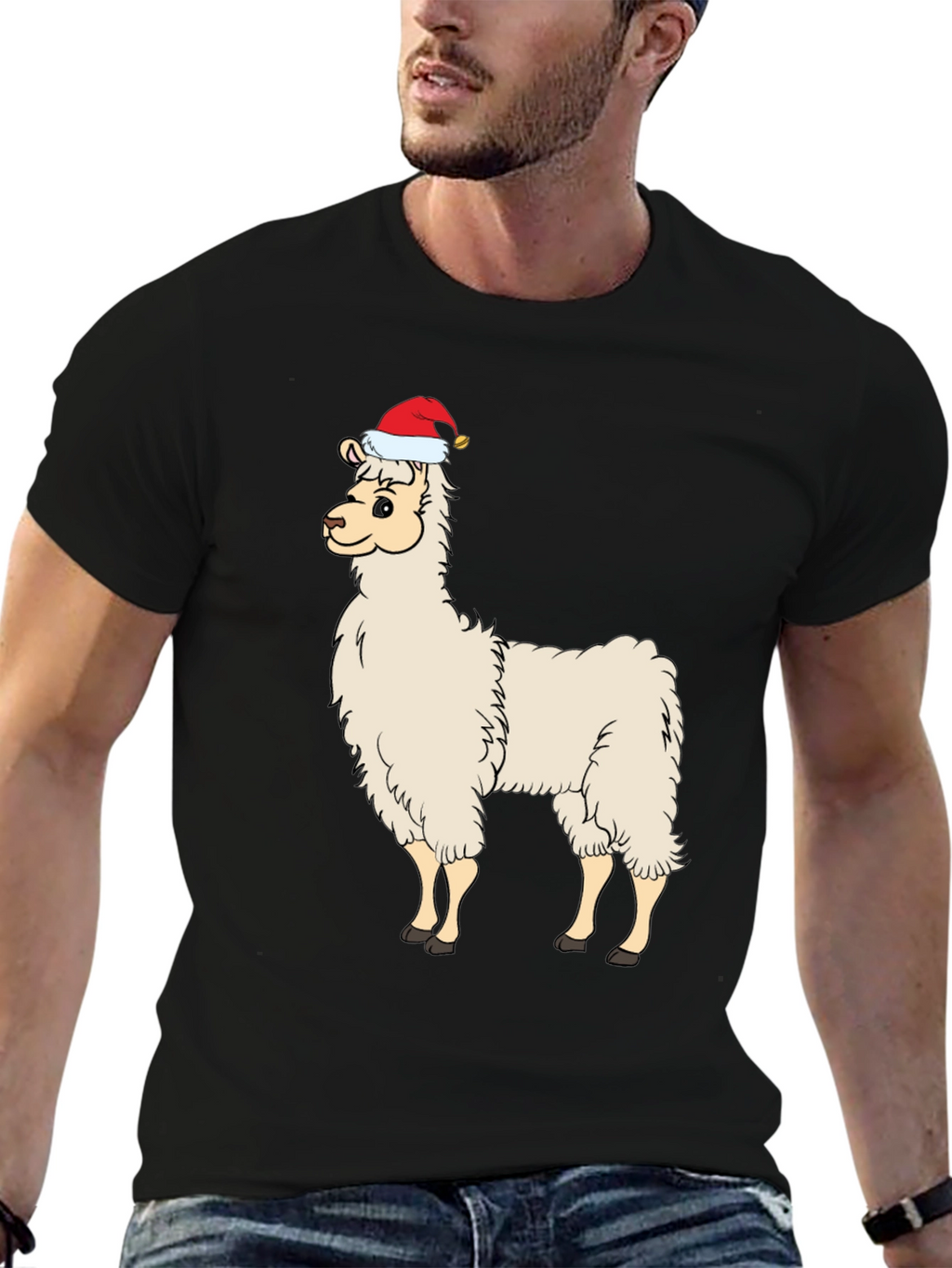 Festive Llama T-Shirt