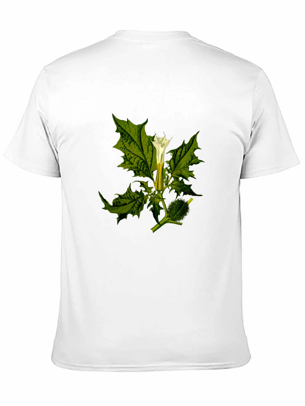 Botanical Datura Flower Graphic Black Tee