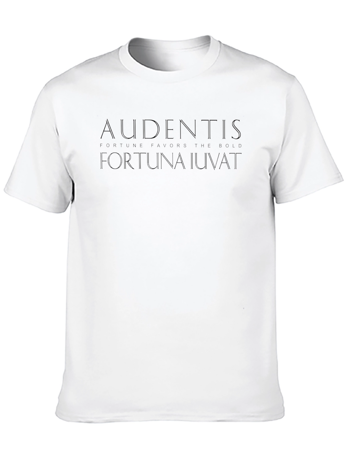 Audentes Fortuna Iuvat Graphic Tee