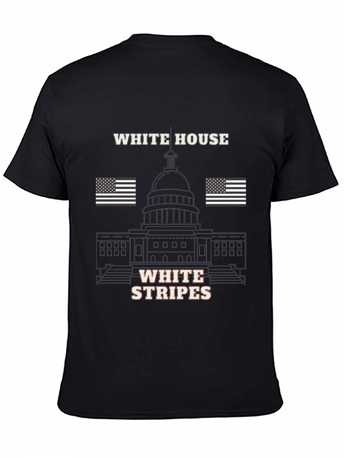 White House Stripes Graphic T-Shirt