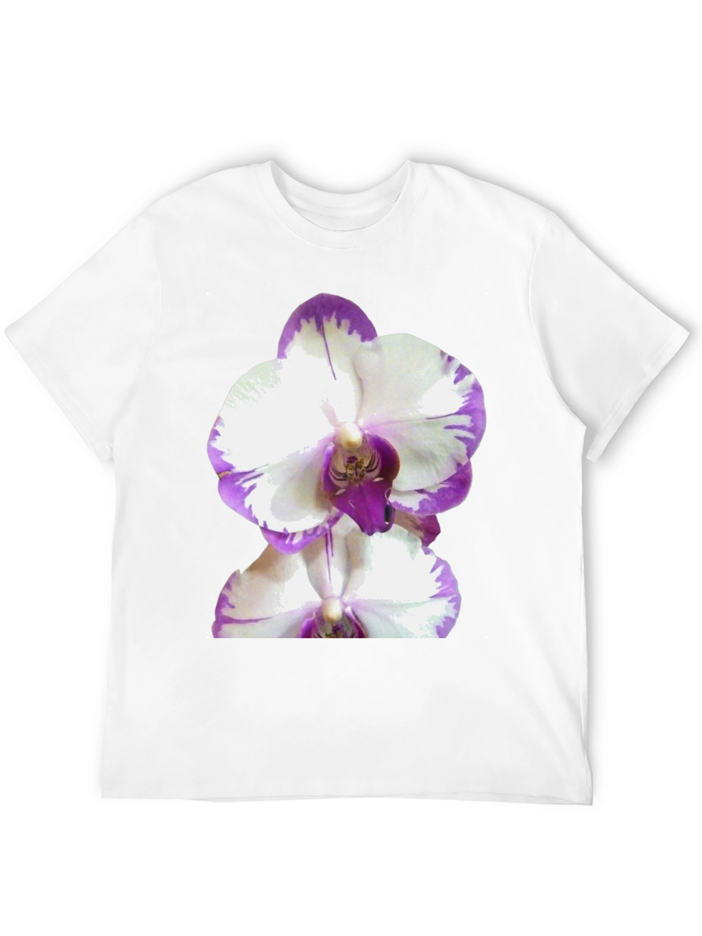 Orchid Graphic Tee - Black Cotton T-Shirt