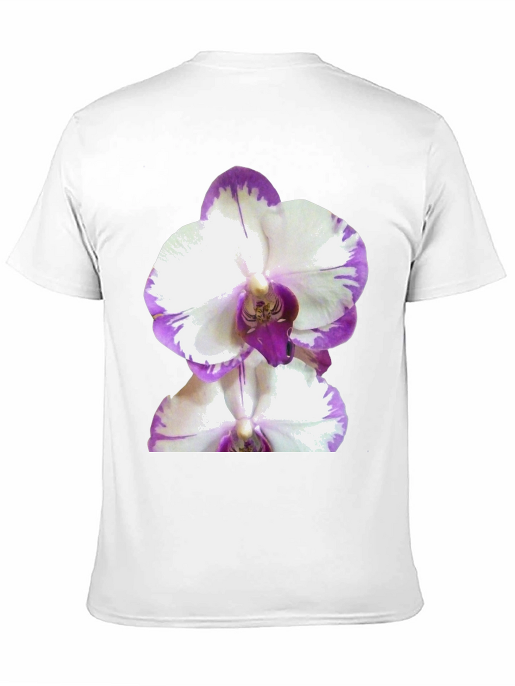 Orchid Graphic Tee - Black Cotton T-Shirt