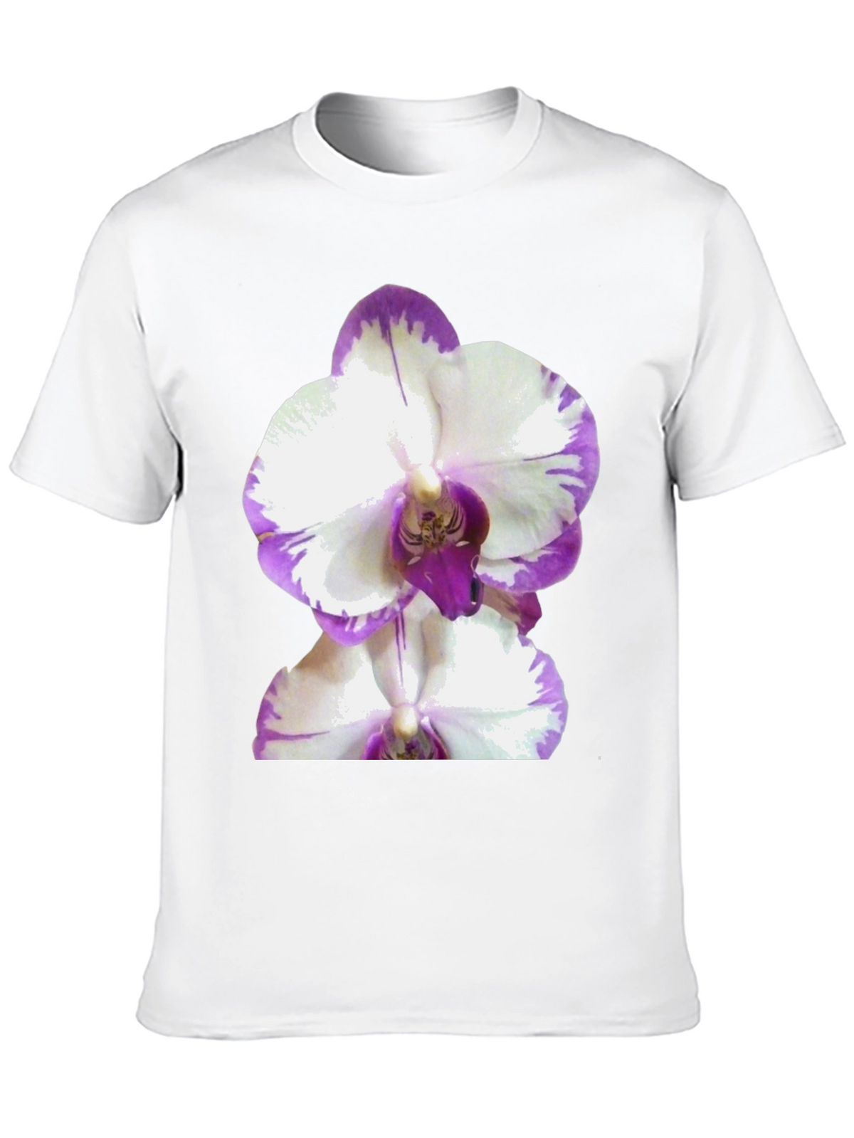 Orchid Graphic Tee - Black Cotton T-Shirt