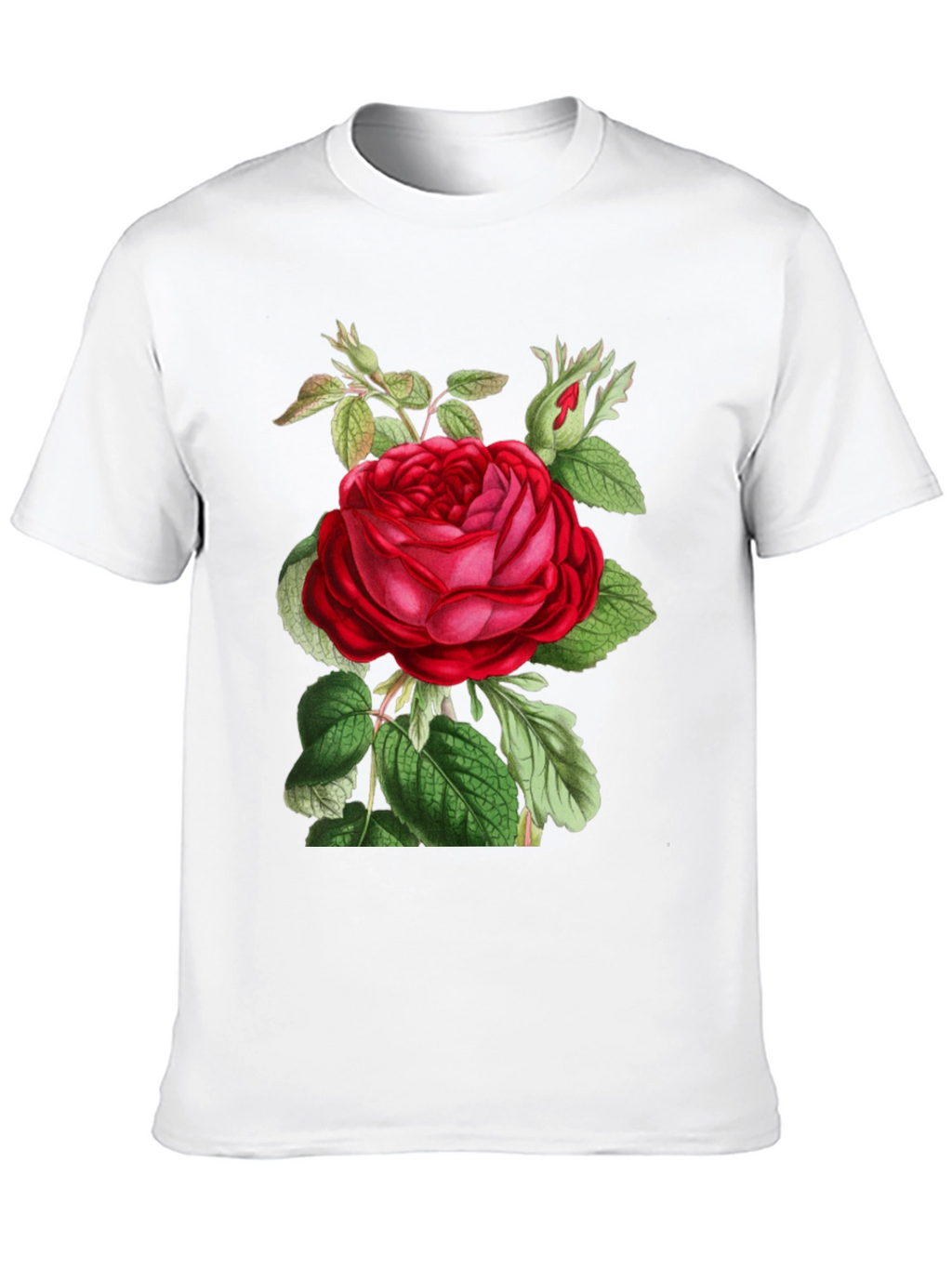 Botanical Rose Graphic Tee