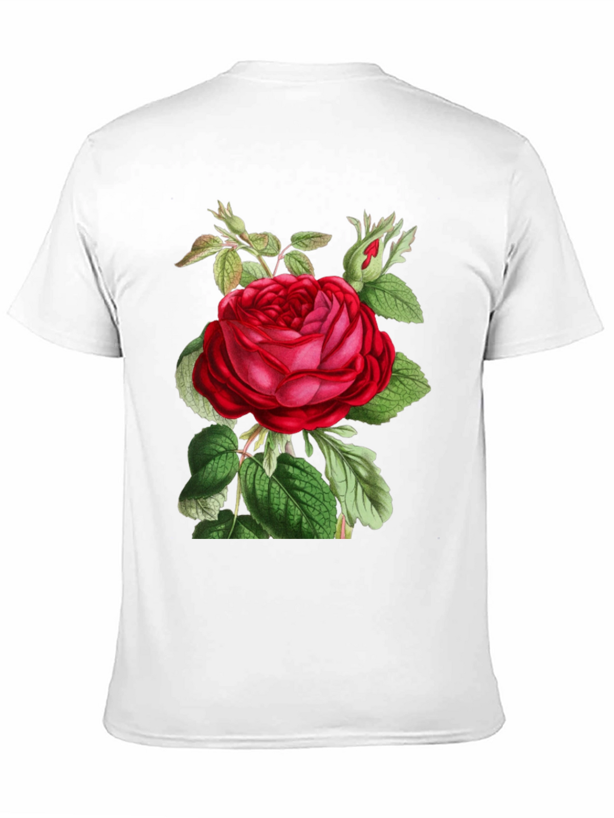 Botanical Rose Graphic Tee