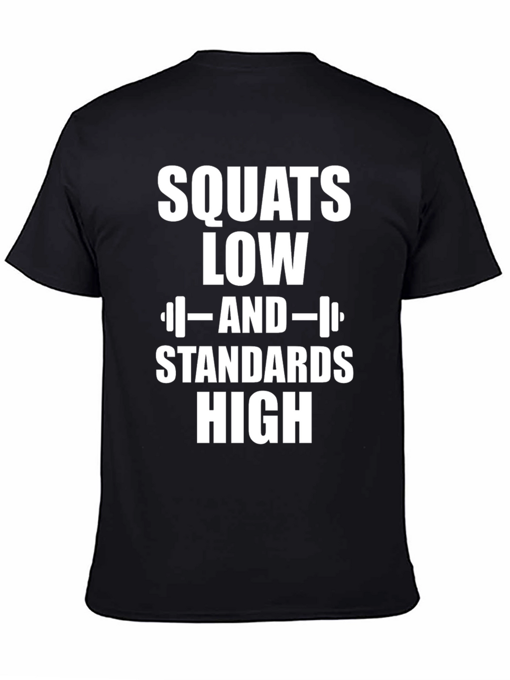 Squats Low Standards High Graphic T-Shirt