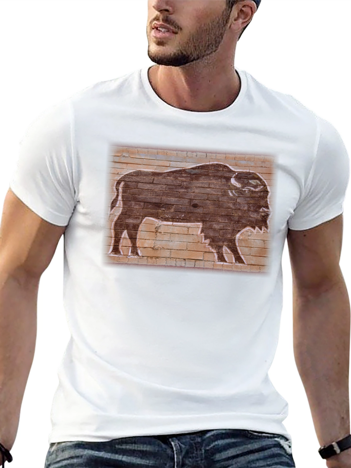 Buffalo Brick Wall Graphic Tee