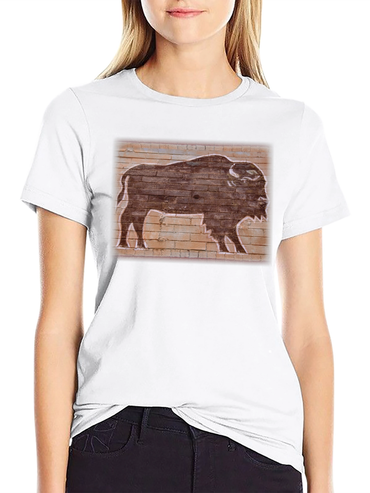 Buffalo Brick Wall Graphic Tee