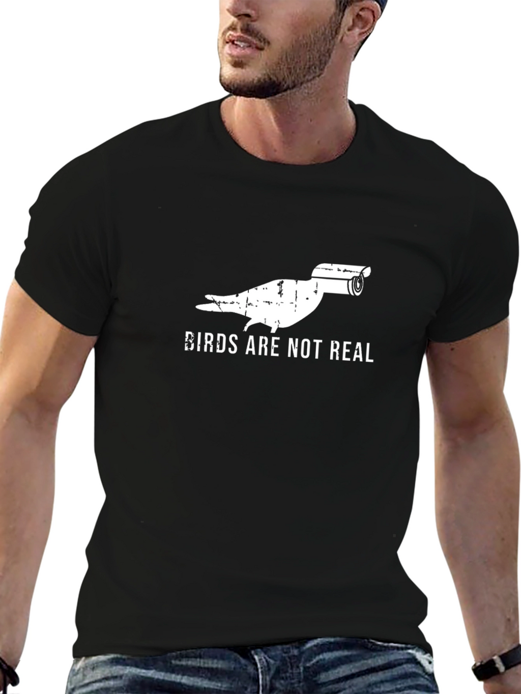 Birds Arent Real T-Shirt - Surveillance Bird Conspiracy Tee