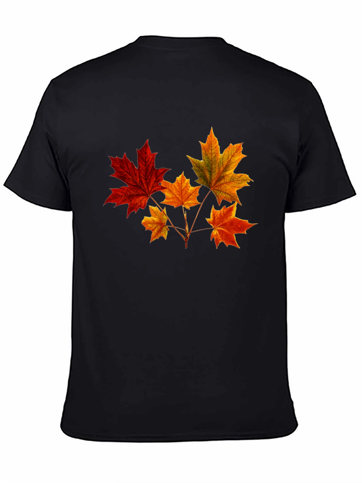 Autumn Leaves Graphic T-Shirt