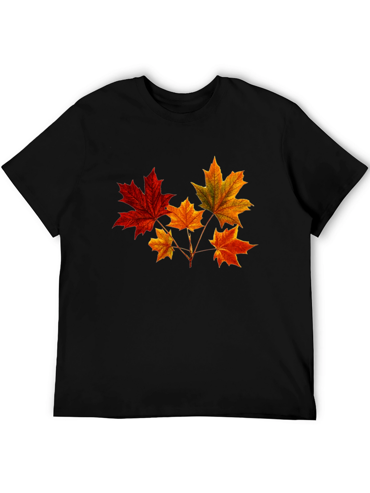 Autumn Leaves Graphic T-Shirt