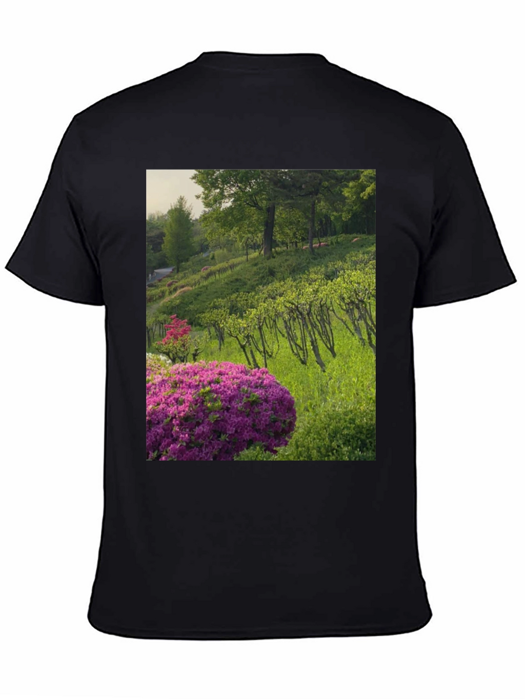 Nature Vineyard Graphic Tee