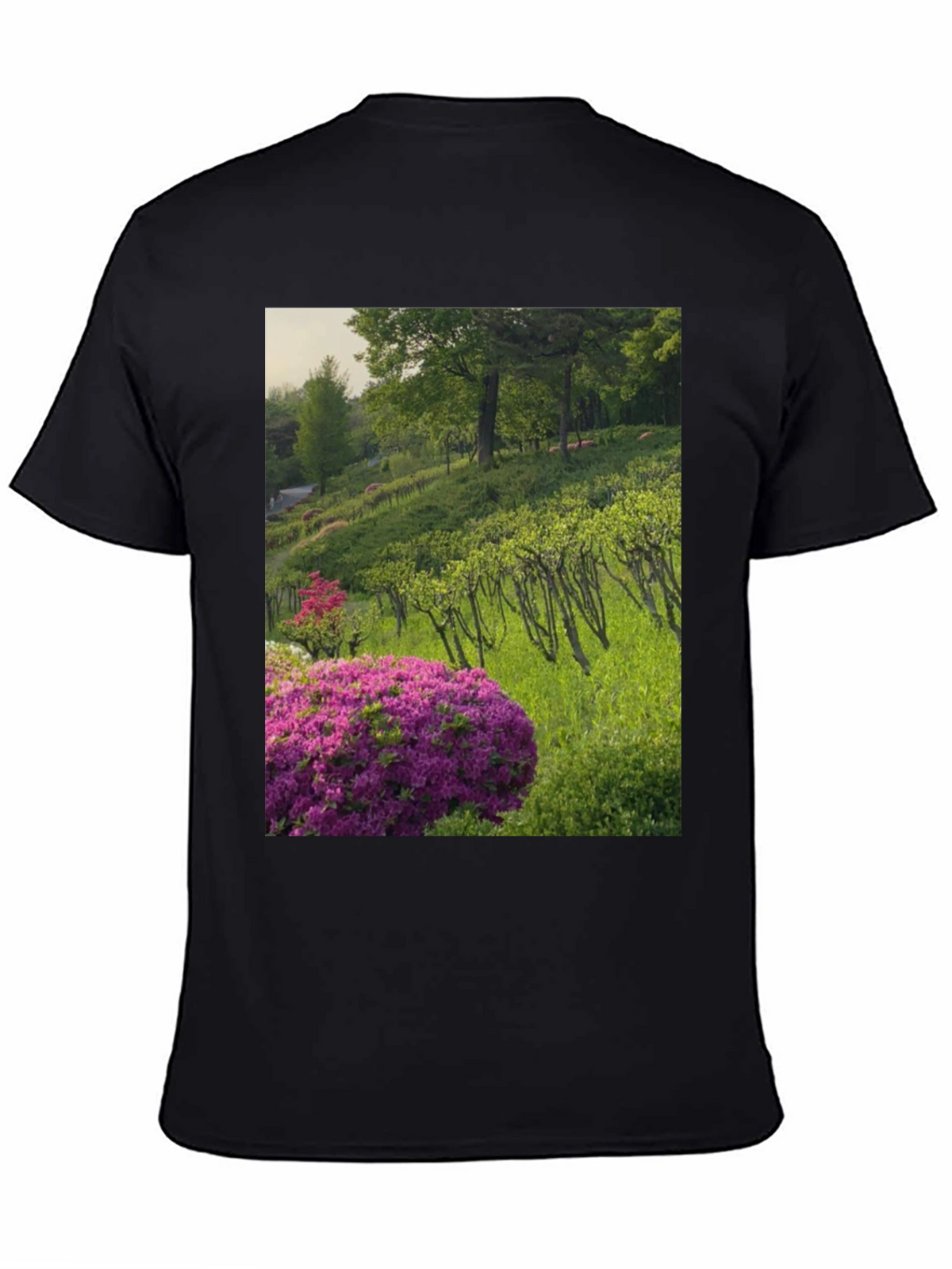 Nature Vineyard Graphic Tee