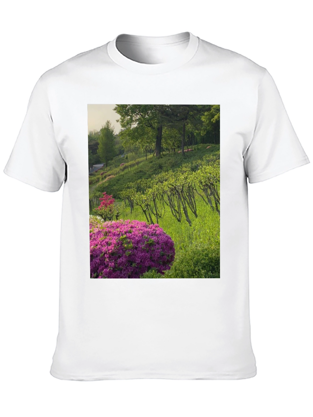 Nature Vineyard Graphic Tee