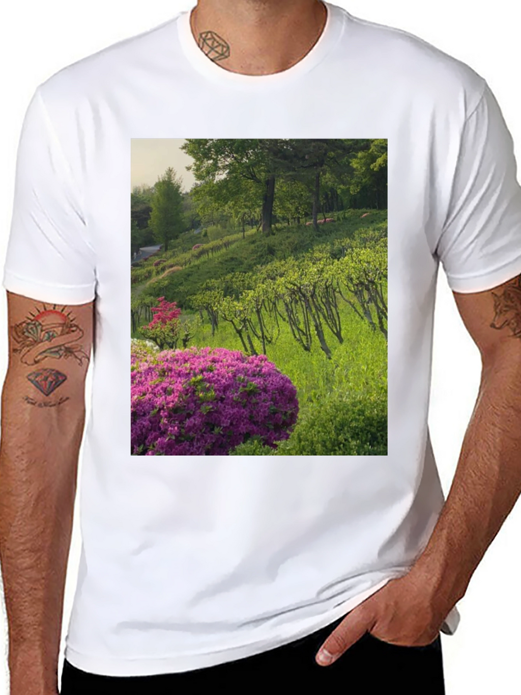 Nature Vineyard Graphic Tee