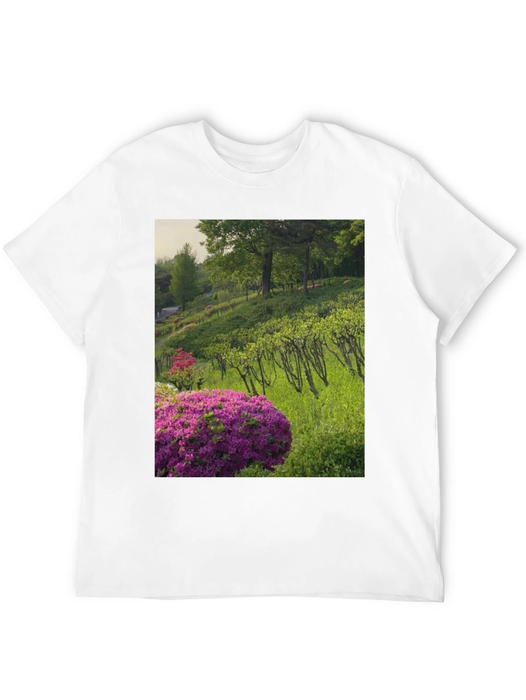 Nature Vineyard Graphic Tee
