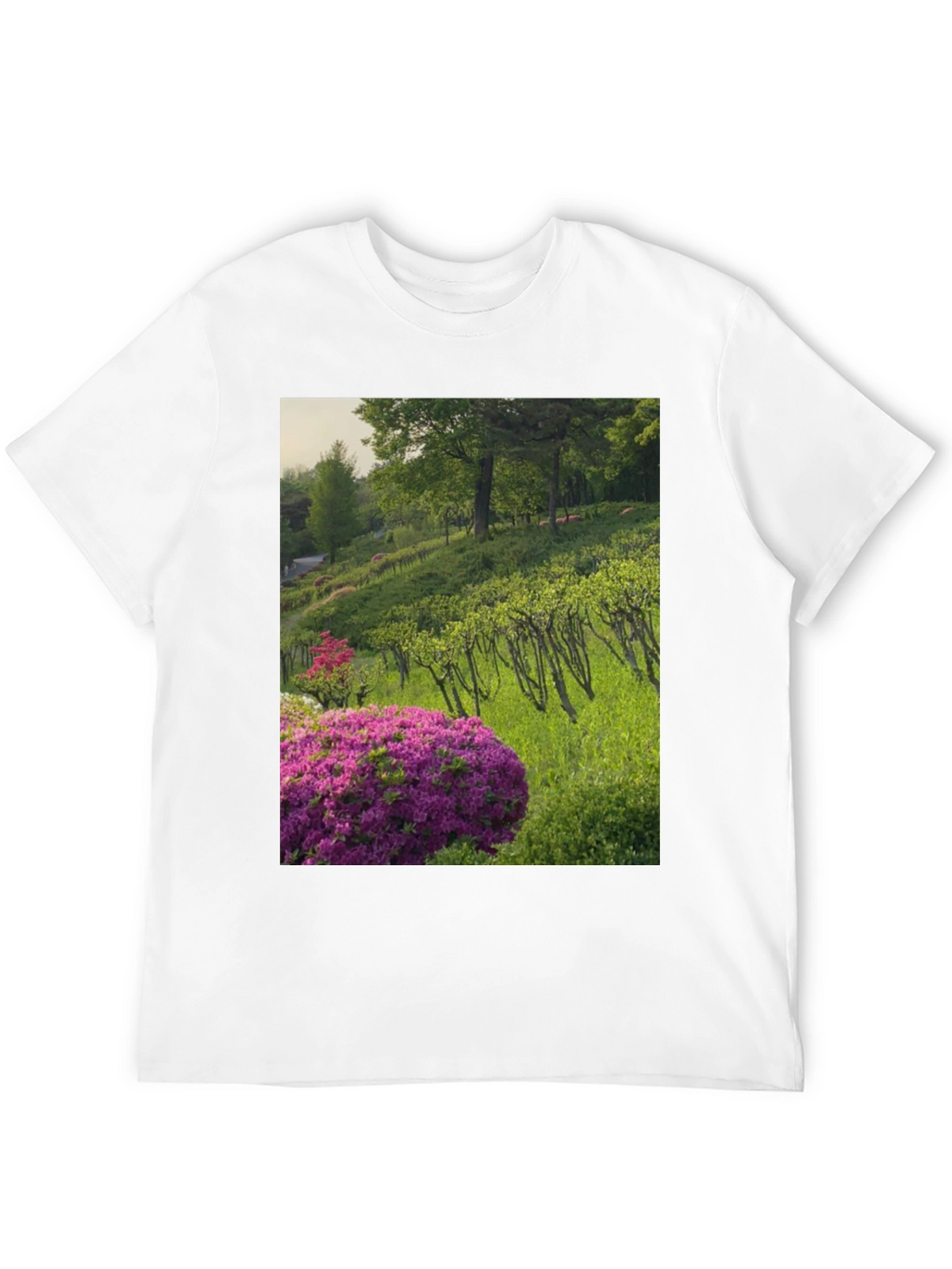 Nature Vineyard Graphic Tee