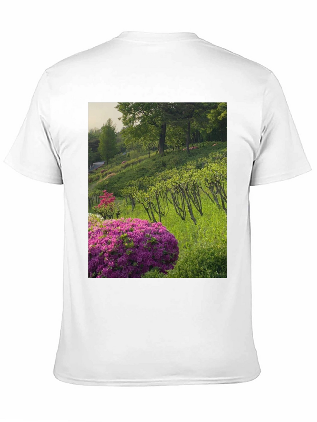 Nature Vineyard Graphic Tee