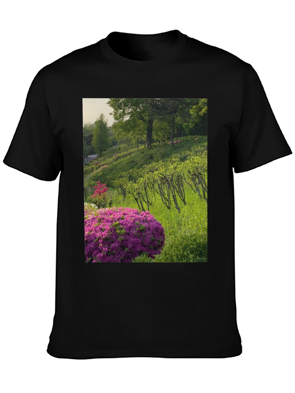 Nature Vineyard Graphic Tee
