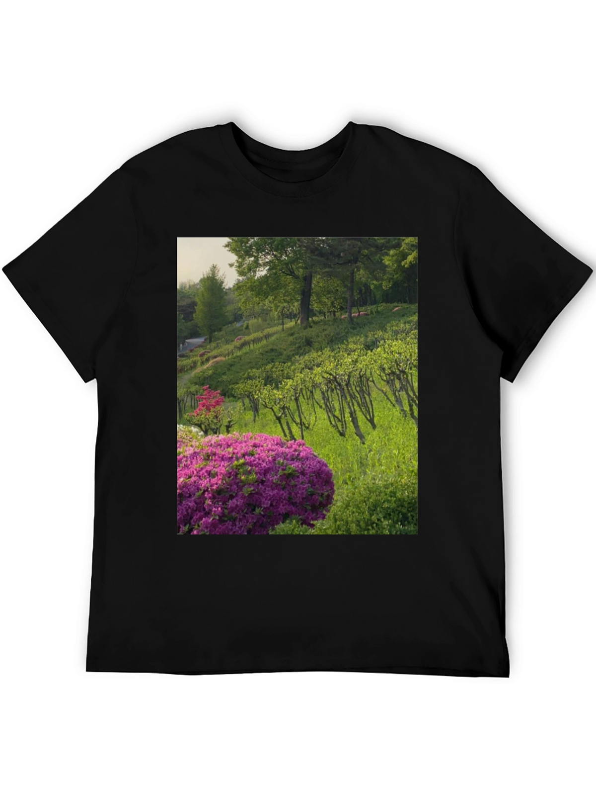 Nature Vineyard Graphic Tee