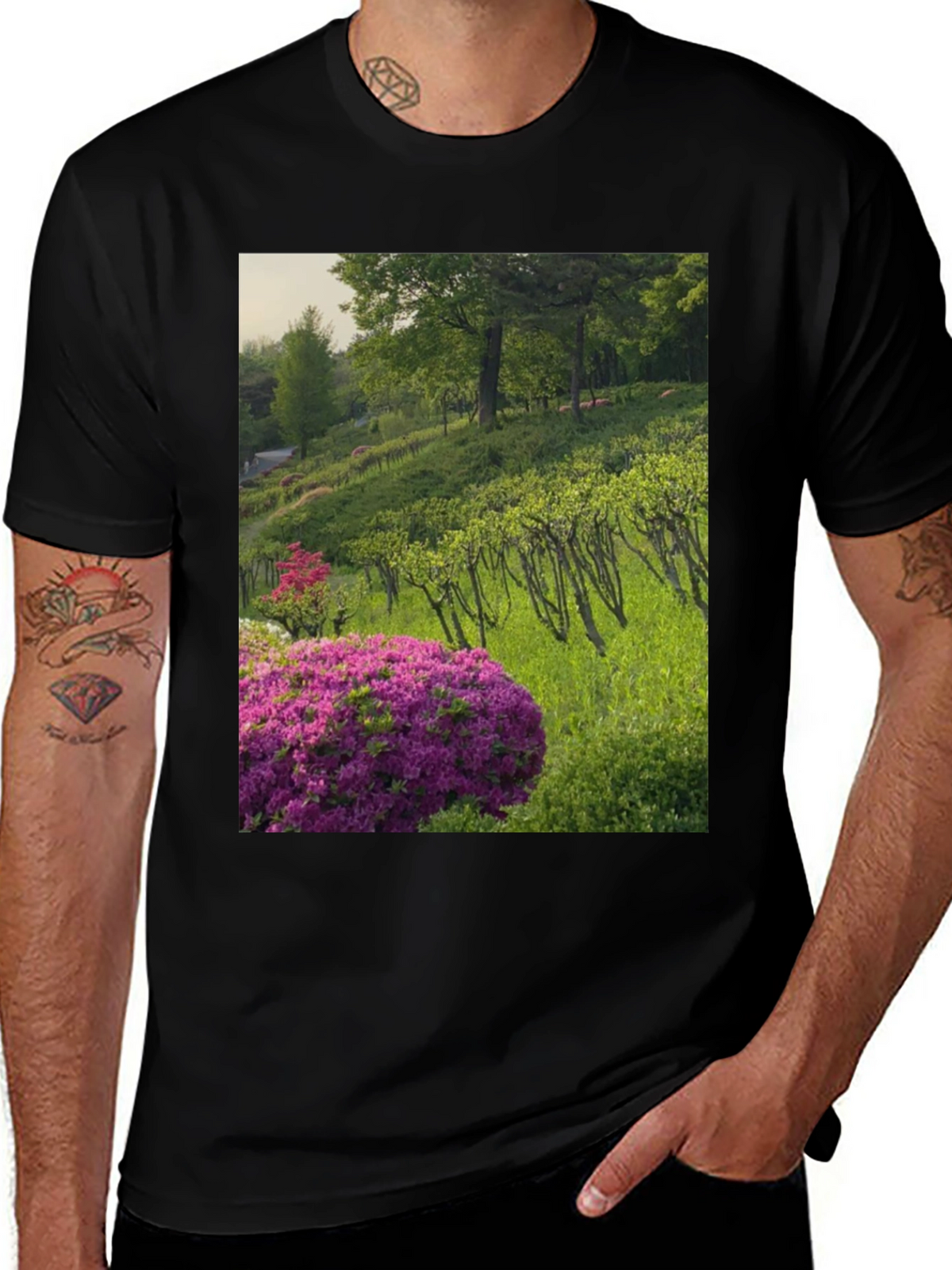 Nature Vineyard Graphic Tee