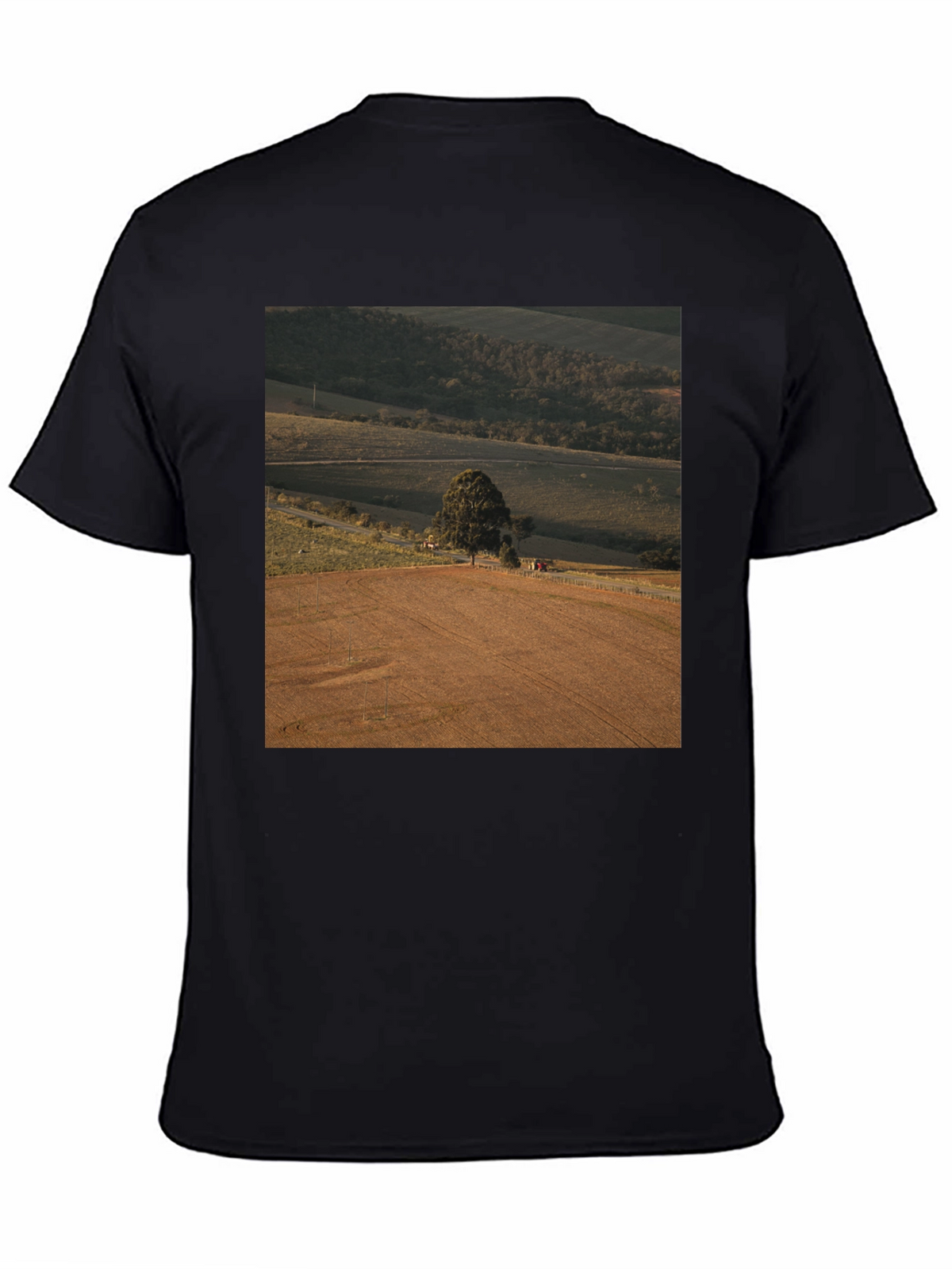 Scenic Landscape Graphic Tee - Black Cotton Comfort