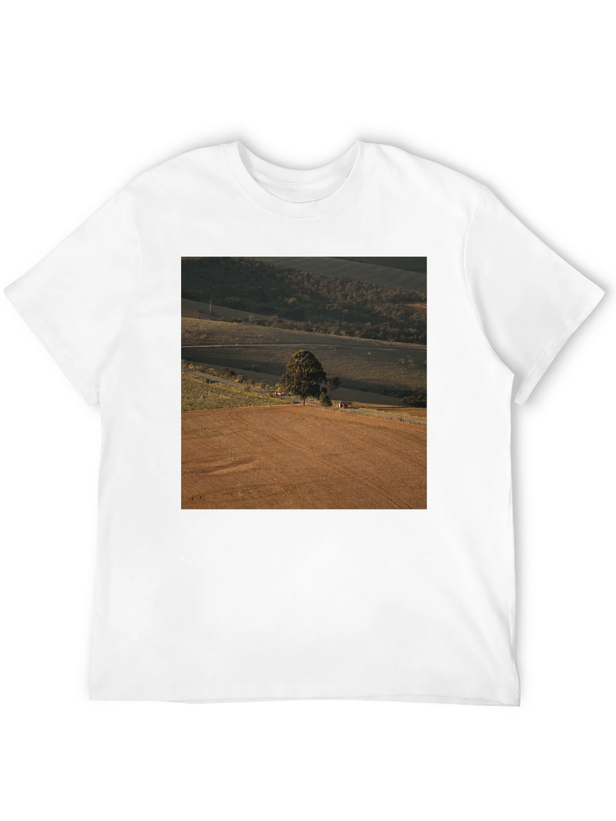 Scenic Landscape Graphic Tee - Black Cotton Comfort