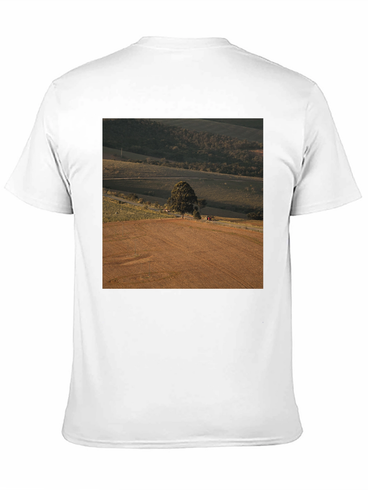 Scenic Landscape Graphic Tee - Black Cotton Comfort