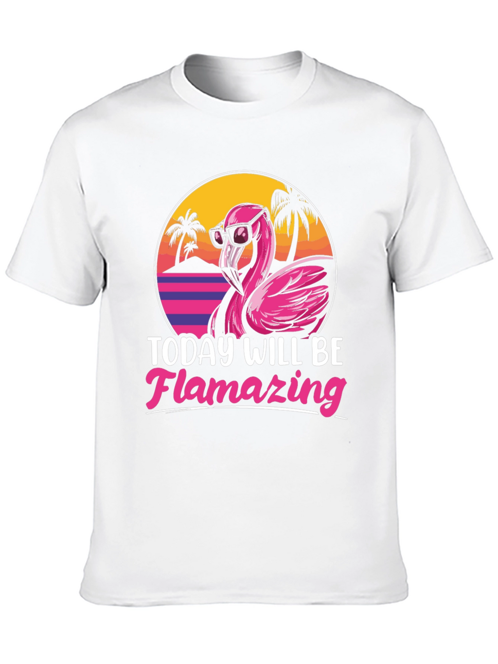Flamingo Graphic T-Shirt - Today Will Be Flamazing