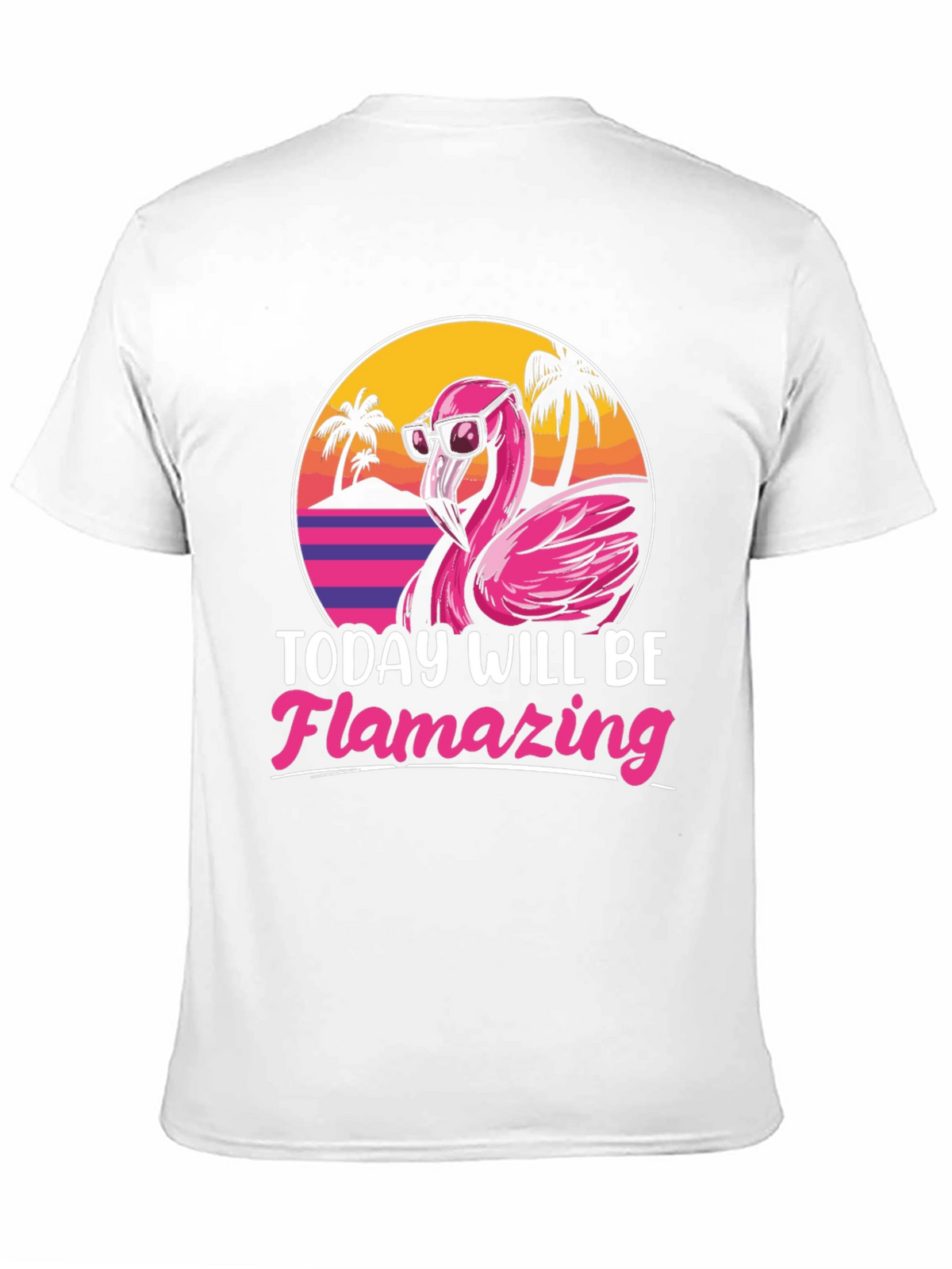 Flamingo Graphic T-Shirt - Today Will Be Flamazing
