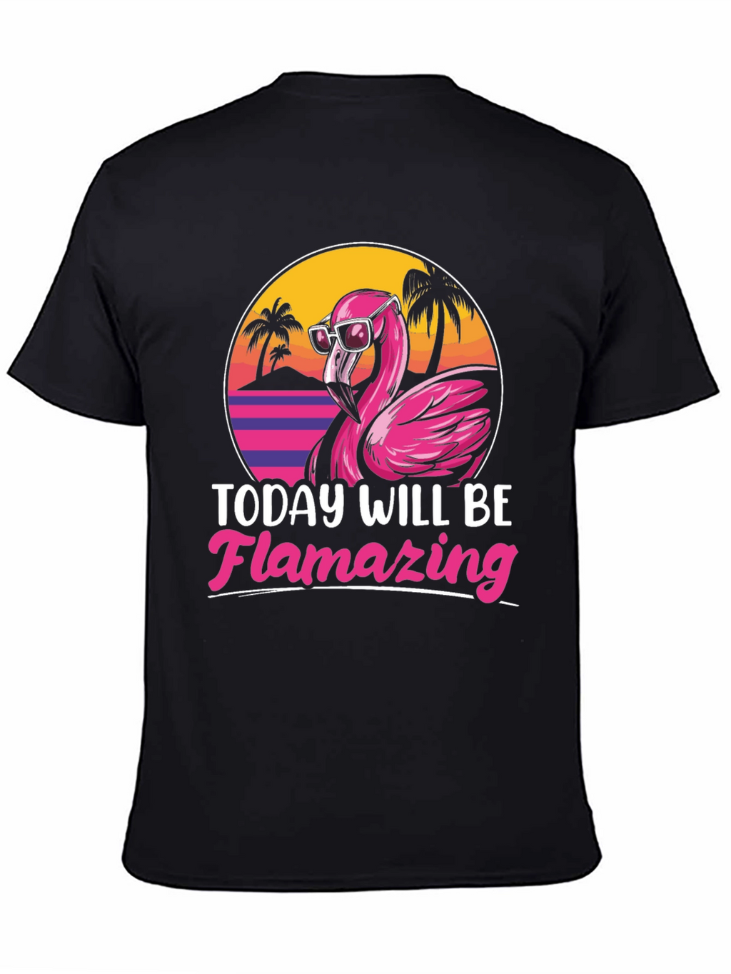 Flamingo Graphic T-Shirt - Today Will Be Flamazing