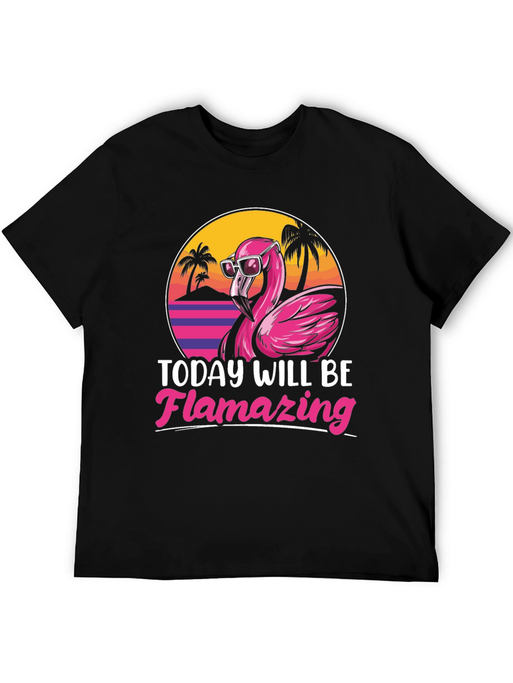 Flamingo Graphic T-Shirt - Today Will Be Flamazing